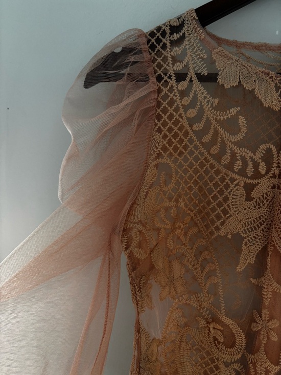 Peach Lace Mesh Puff Sleeve Crop Top Romantic Coquette Sheer Blouse S - Picture 4 of 15